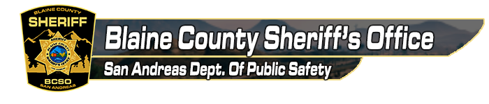 BCSO_flag.png