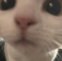 6232