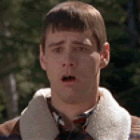 1645634731400.gif