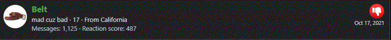 belt.GIF
