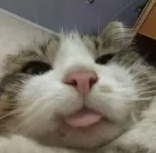 1650407123604.png