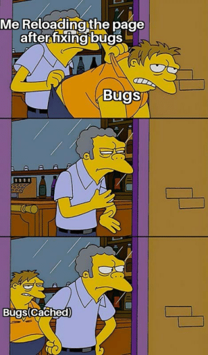 thumb_me-reloading-the-page-after-fixing-bugs-bugs-bugs-cached-frickin-65392374.png
