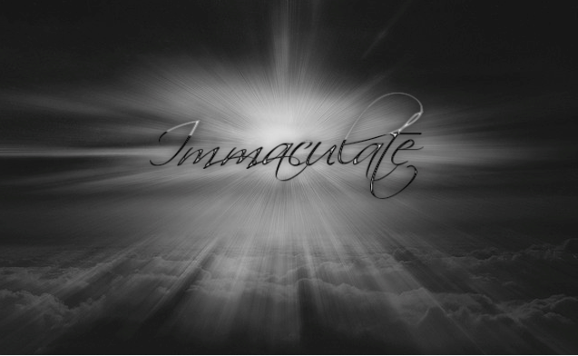 immaculate signature.png