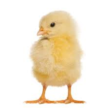 1602849451602.png