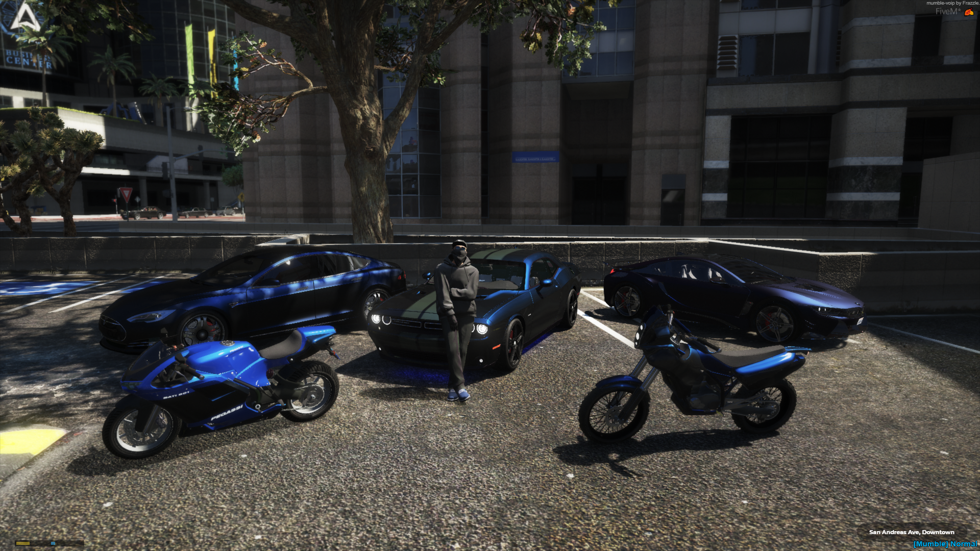 306 Cars.PNG