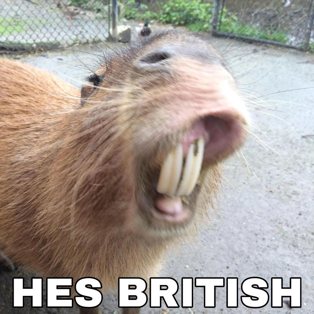1663640067030.png