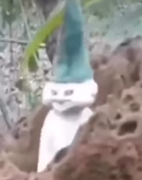 5E37FB74-E695-4651-B7FE-4E75591A5C59.png