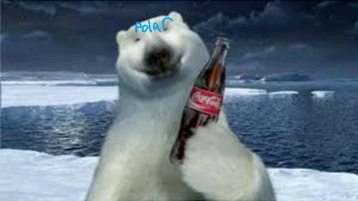 Polar Bear.png