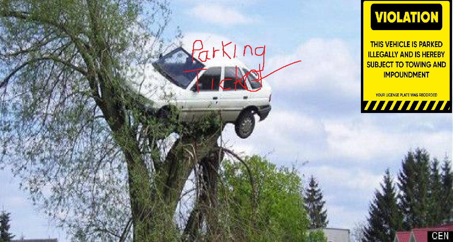 Parking Ticket.png