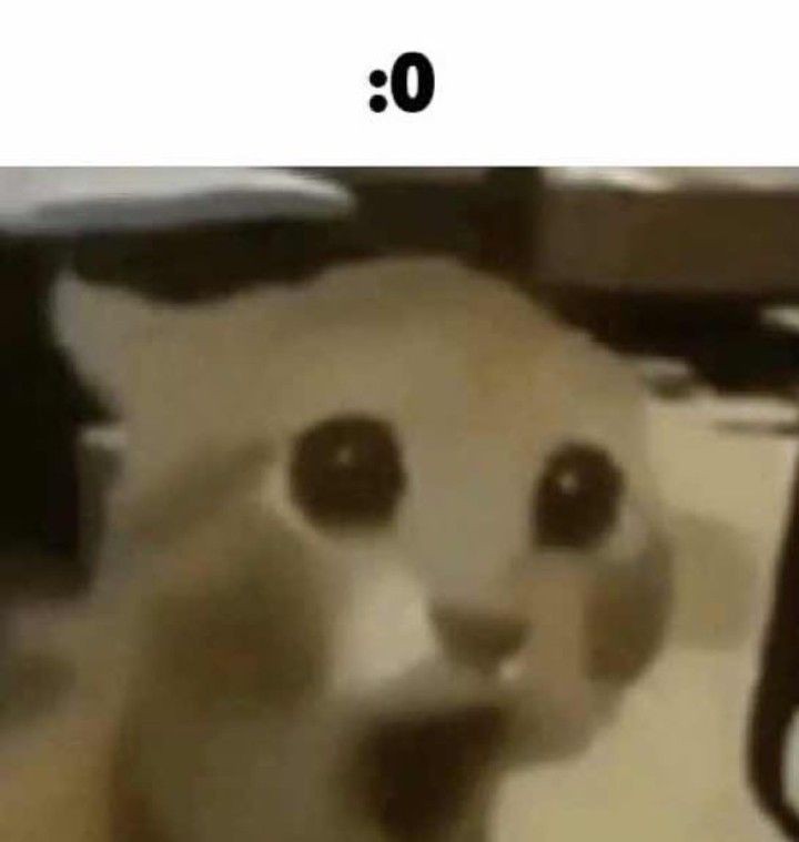 20230126_204842.jpg
