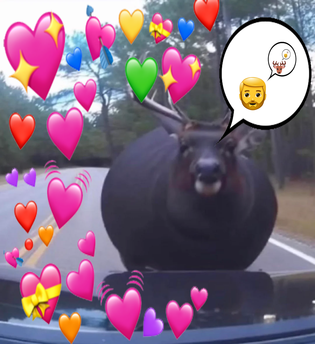 what.png