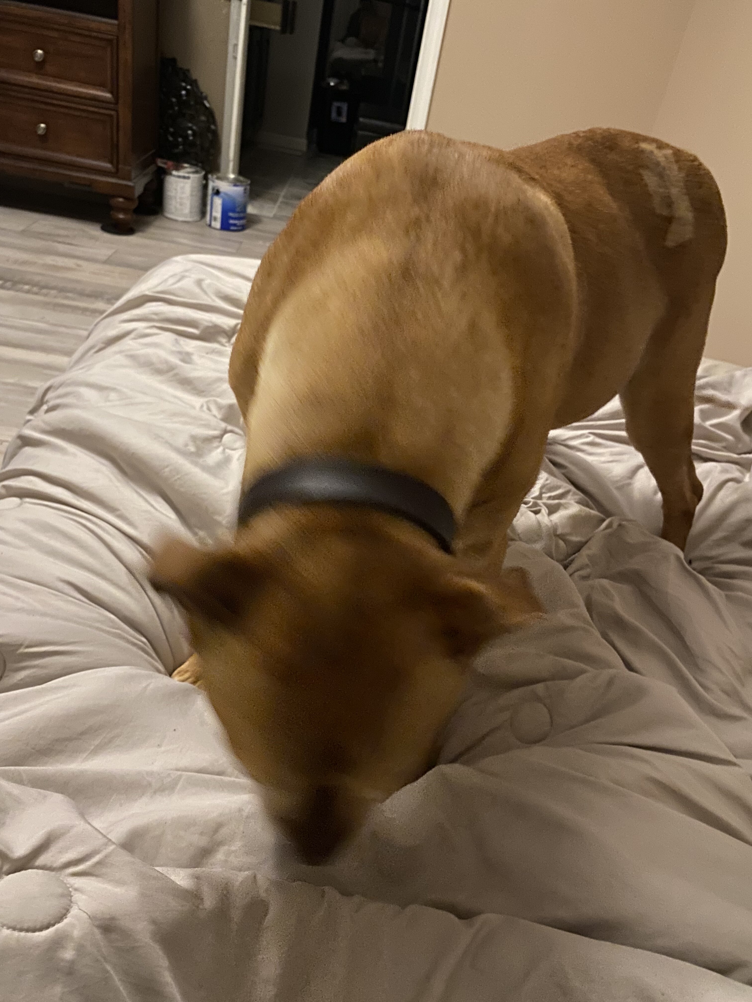 7BFD177E-8B69-4ABA-AFCD-94206054059B.jpeg