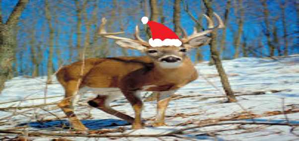 deerfat.png