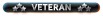 veteran4.png
