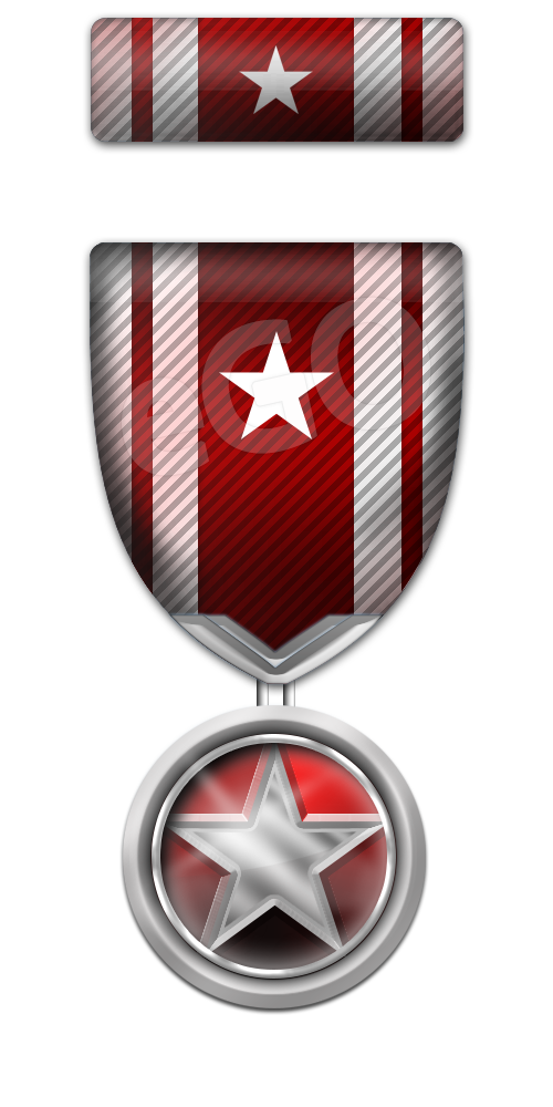 distinguishedservice3-lg.png