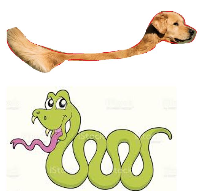 landsnakes.JPG