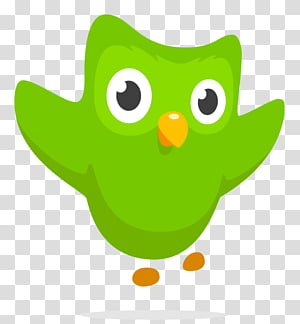 green-grass-background-duolingo-learning-language-foreign-language-word-rosetta-stone-memrise-...png