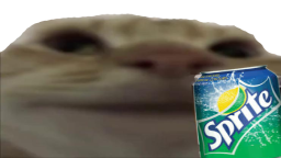 1612371300452.png