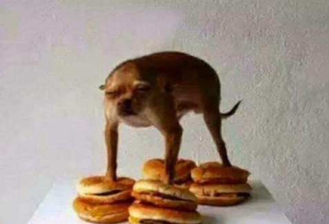 69.png