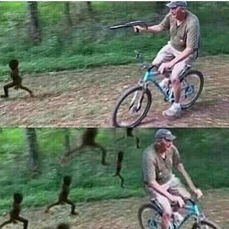 ARK.jpg