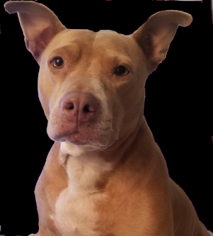 1620123280967.png