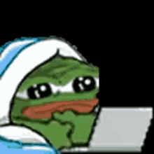 peepolaptop.png