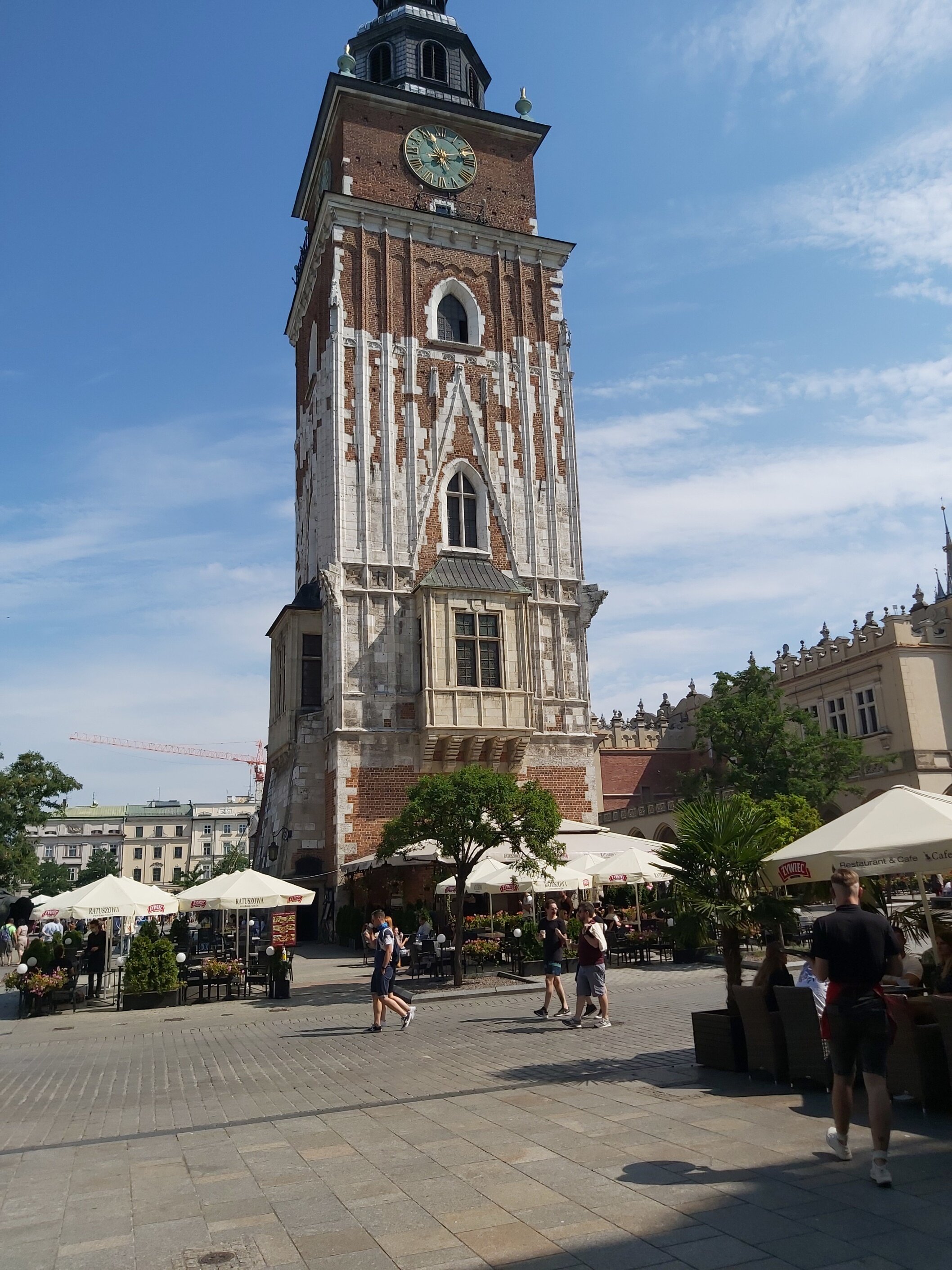 20200816_111717.jpg