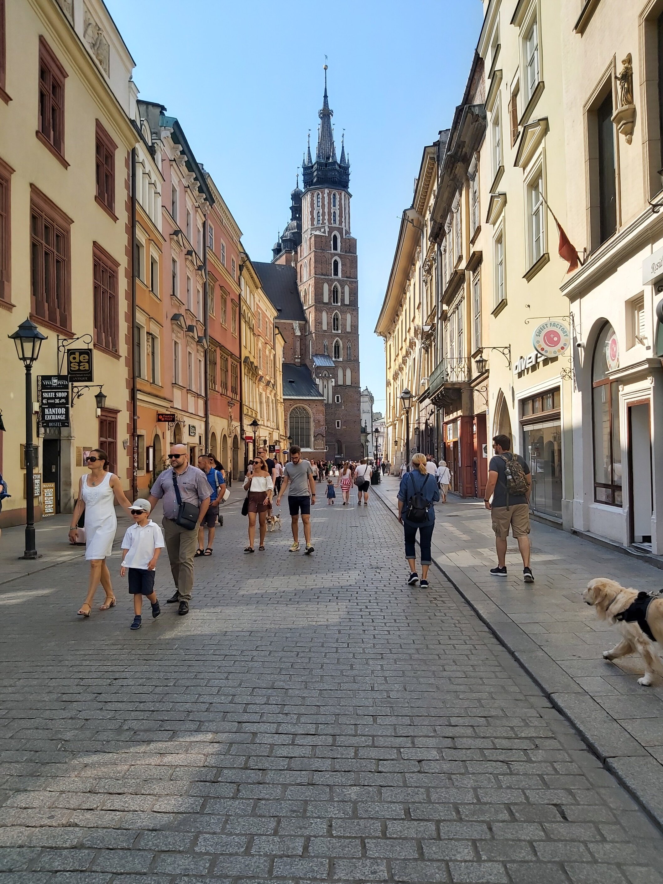 20200816_110356.jpg