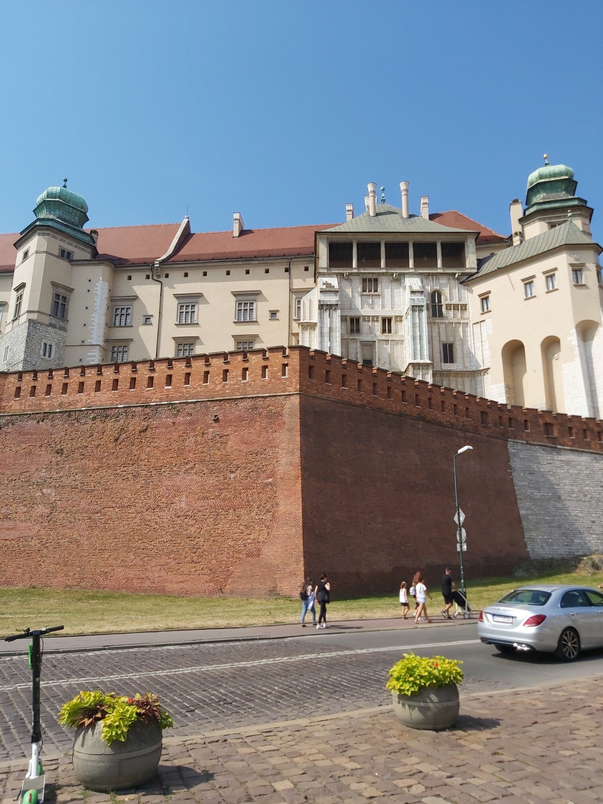 20200816_112939.jpg