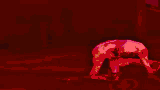 teneeeor.gif