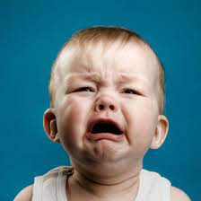 1630031019628.png