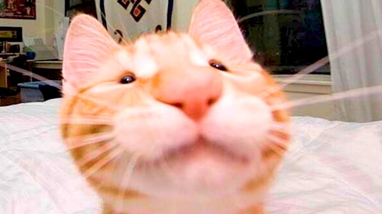 1630702917900.png